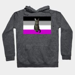 Ace Cat 2 Hoodie